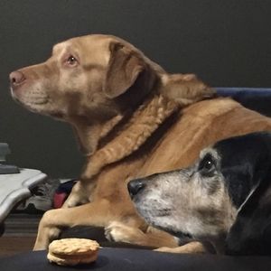 Meet your Posher, Jackie